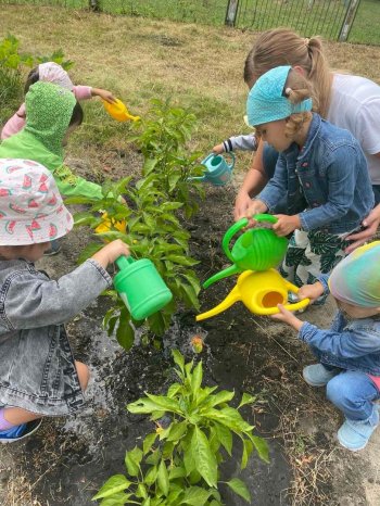 Во саду ли, в огороде